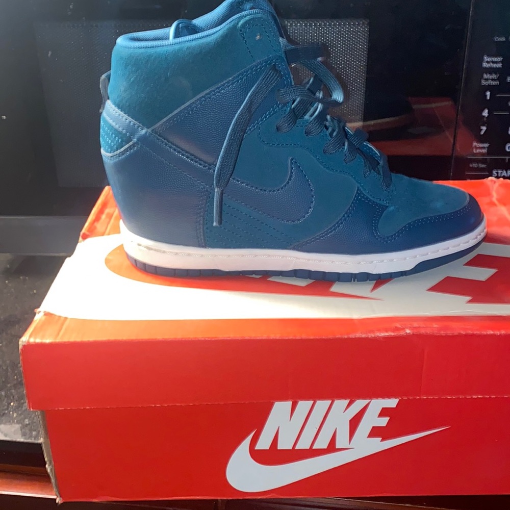 Womens dunk sky hi
